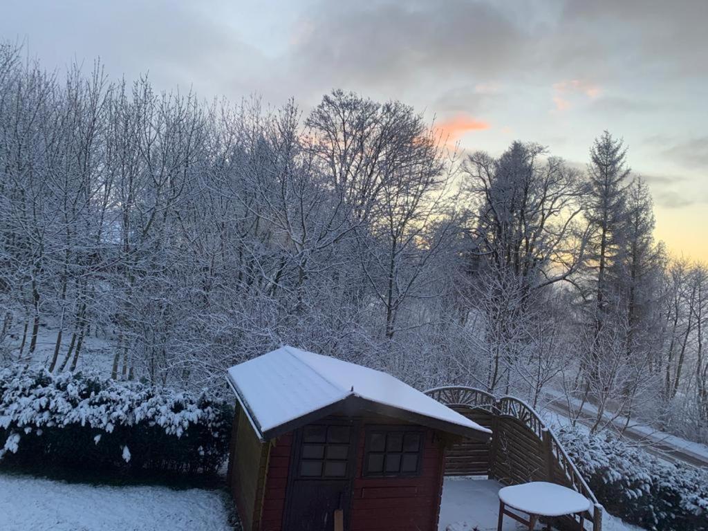 Chill Out Lodge Im Naturparadies Braunlage Eksteriør bilde